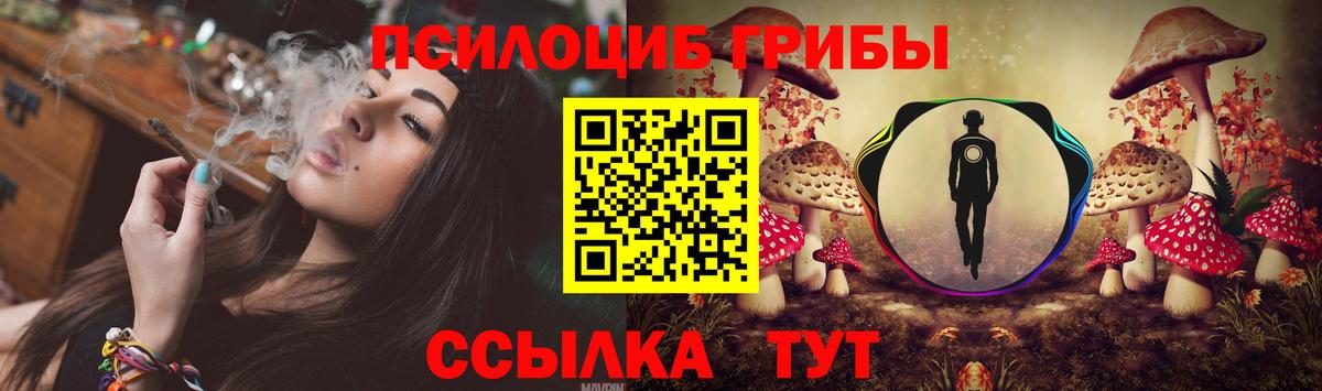 купить наркотик  Галлюциногенные грибы MAGIC MUSHROOMS  Вход с VPN  Галлюциногенные грибы Cubensis  Артёмовский 